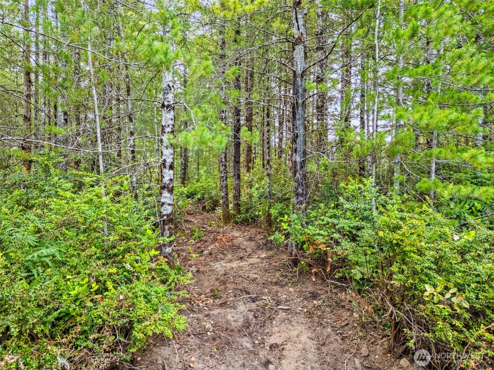 400 Ne Trudeau Mountain Road Property Photo 11