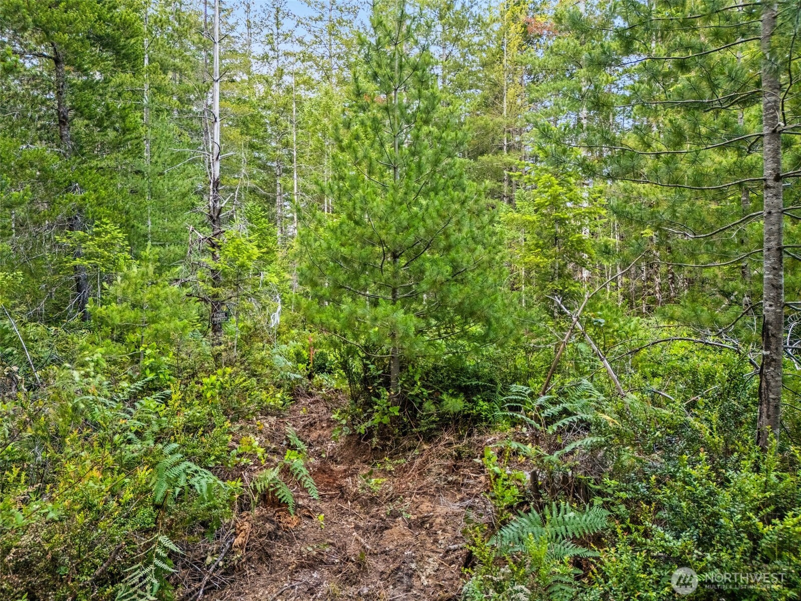 400 Ne Trudeau Mountain Road Property Photo 12