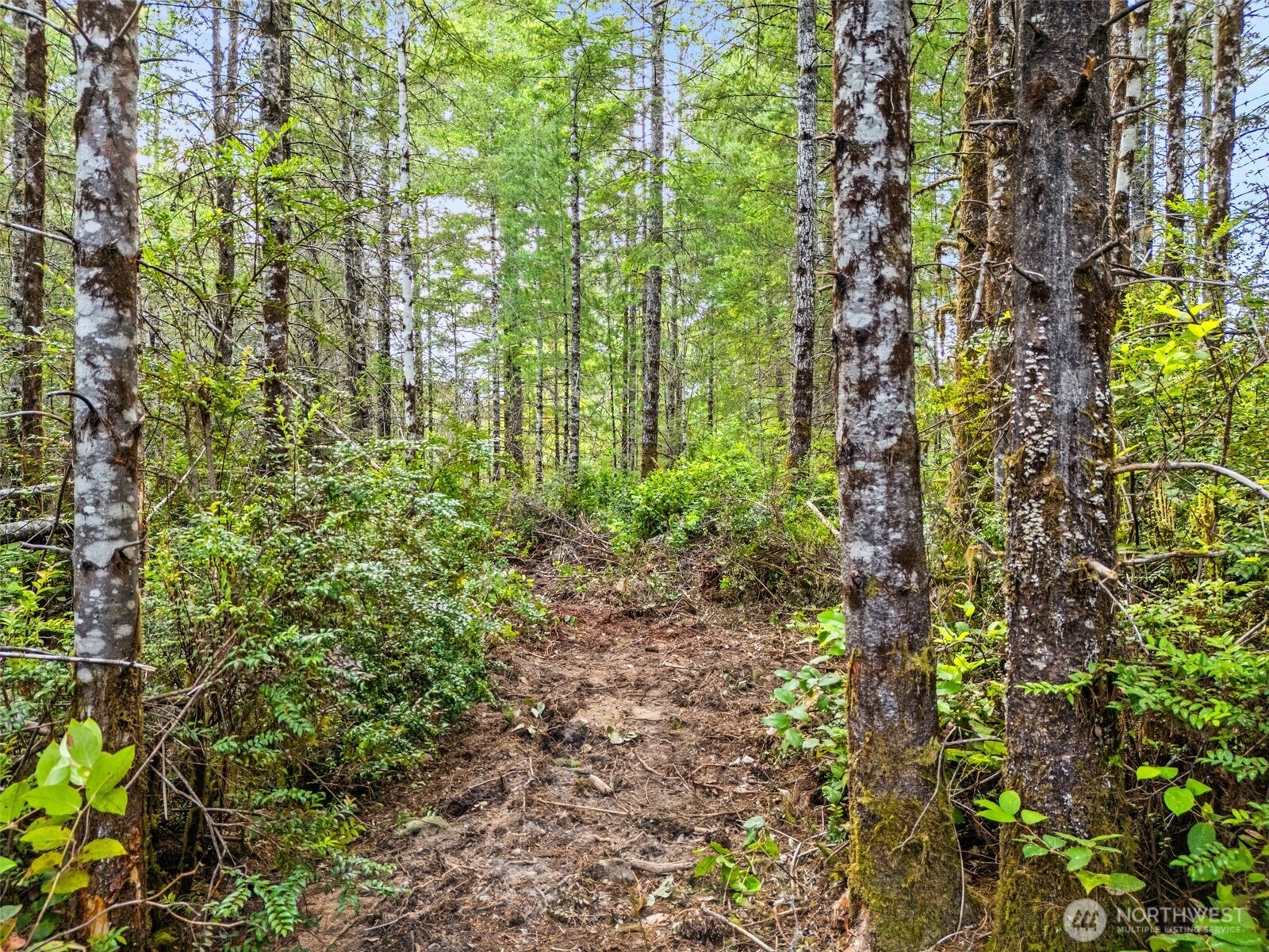 400 Ne Trudeau Mountain Road Property Photo 13