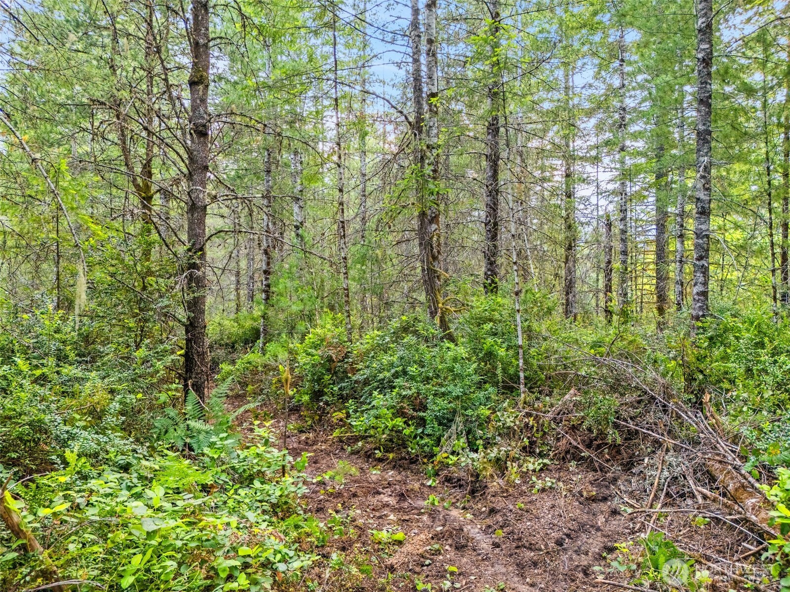 400 Ne Trudeau Mountain Road Property Photo 14