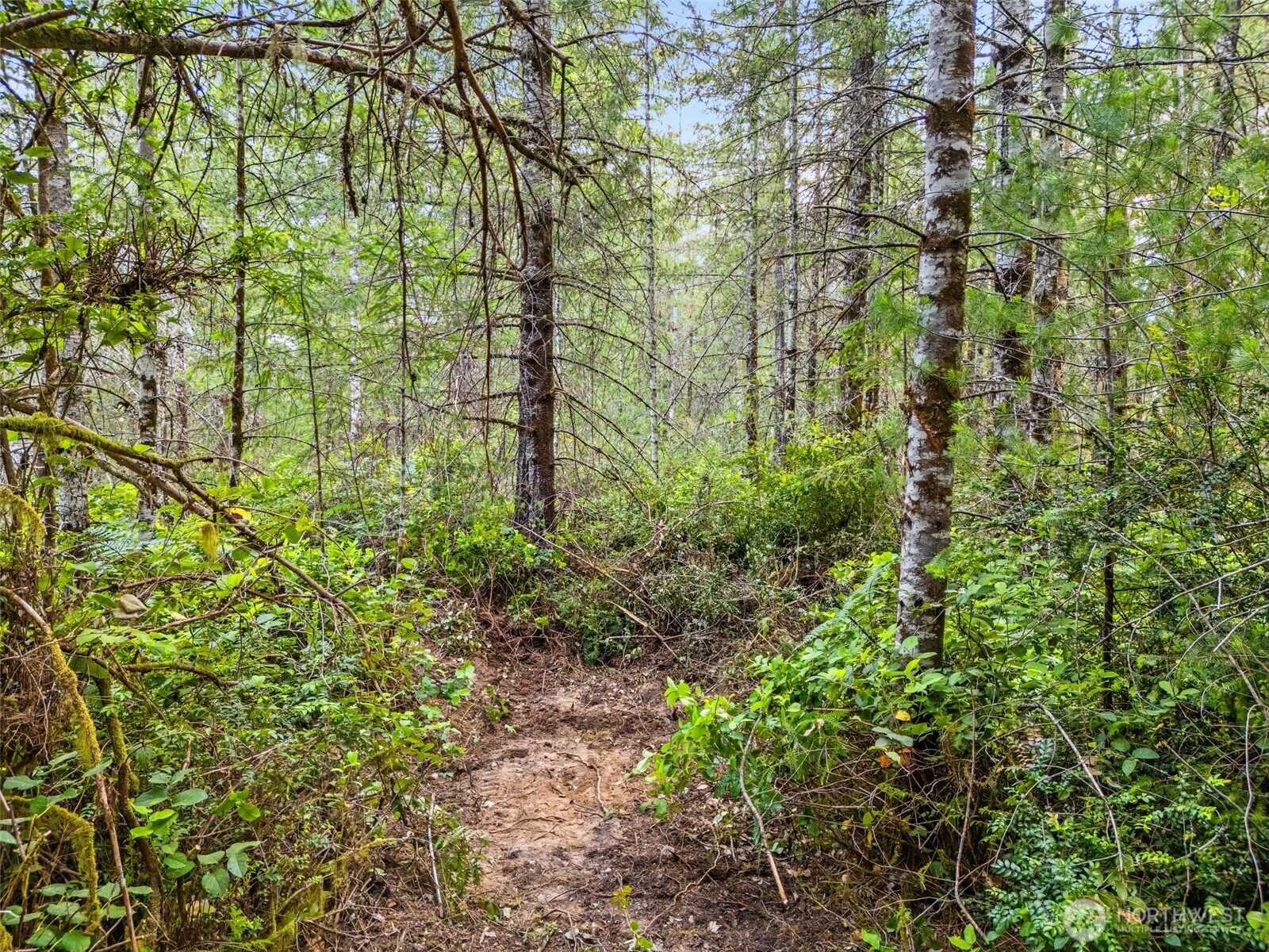 400 Ne Trudeau Mountain Road Property Photo 15