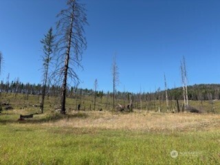 190 Bunch Road Property Photo 3