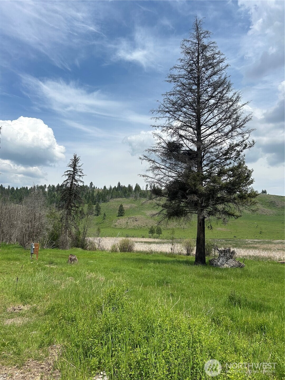 190 Bunch Road Property Photo 6