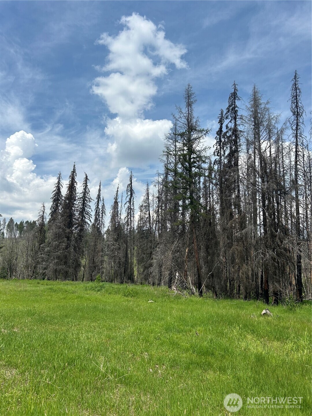 190 Bunch Road Property Photo 7