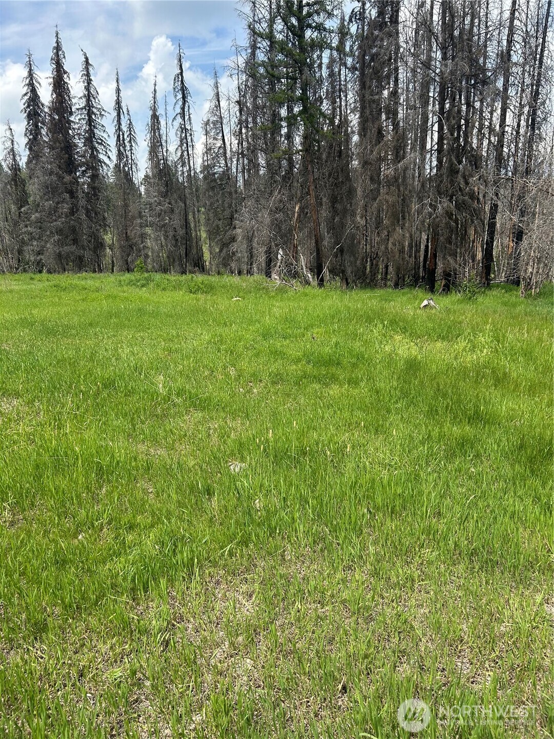 190 Bunch Road Property Photo 8