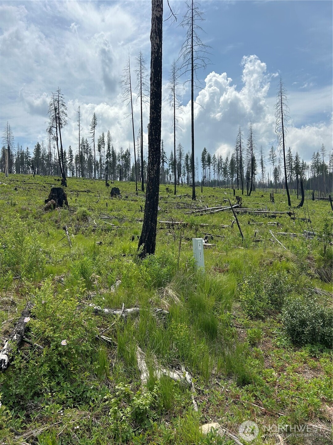 190 Bunch Road Property Photo 16