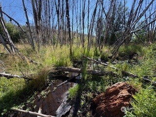 190 Bunch Road Property Photo 17