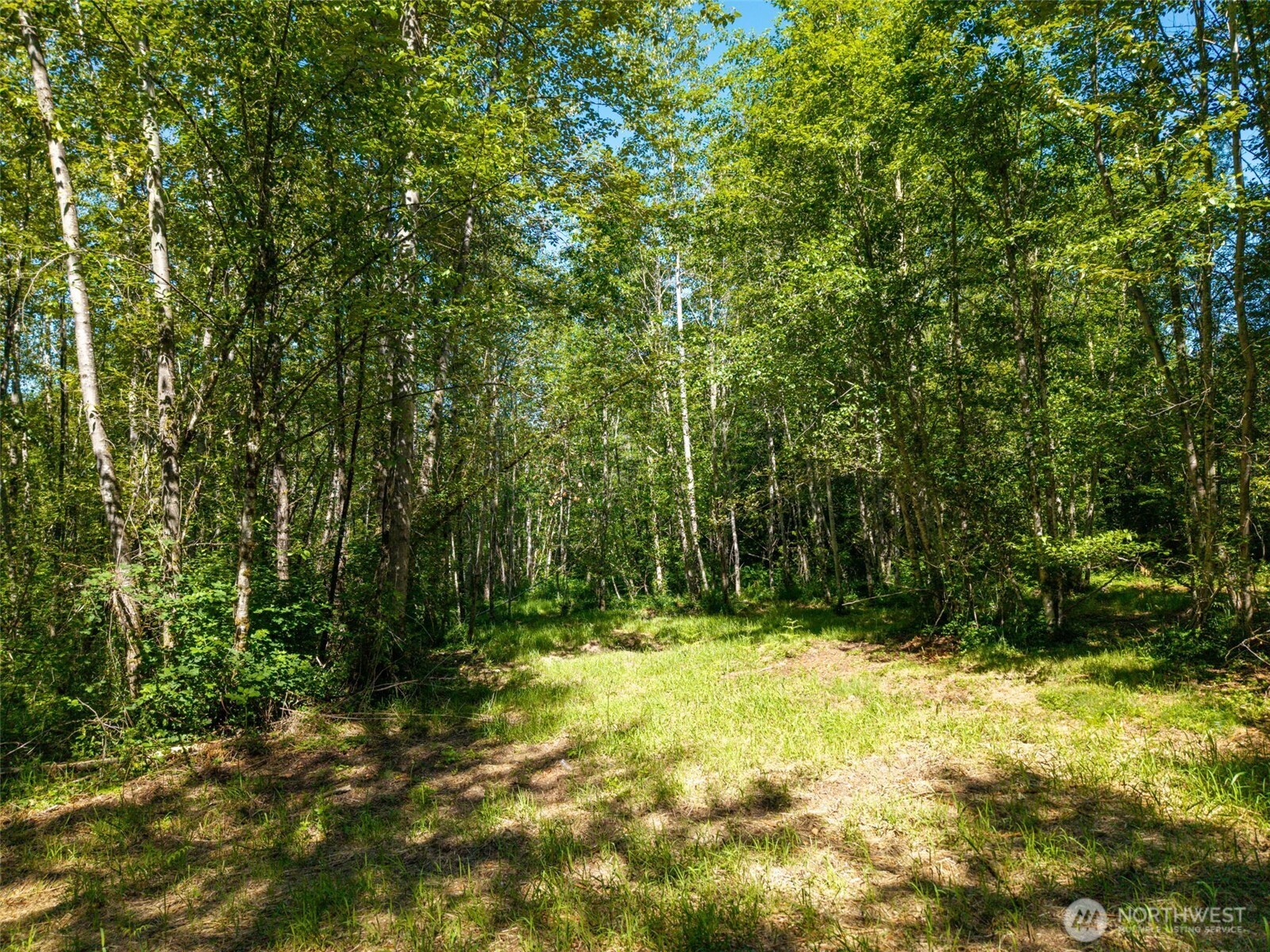 0 236th Avenue Property Photo 4