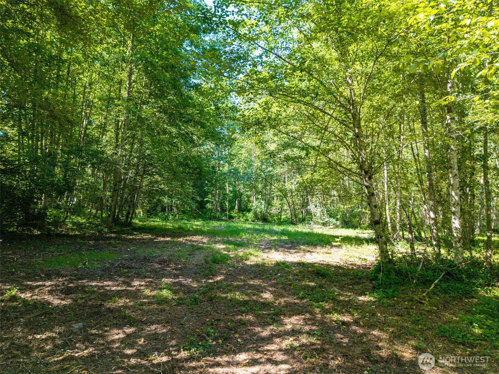 0 236th Avenue Property Photo 6