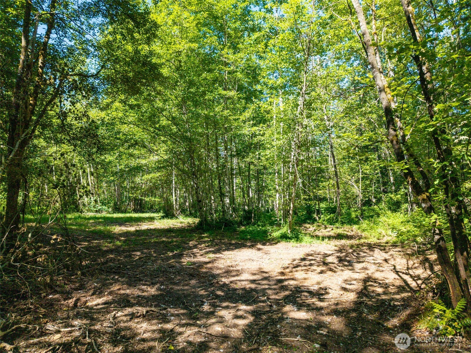 0 236th Avenue Property Photo 7