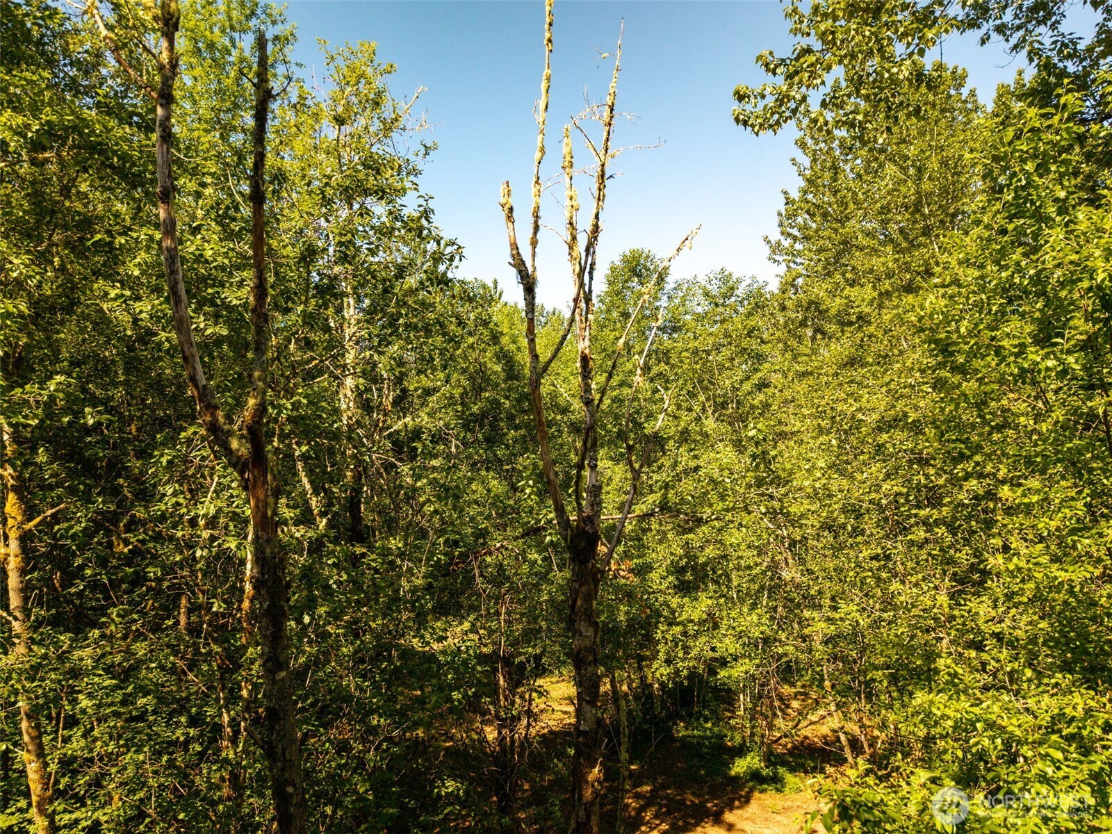 0 236th Avenue Property Photo 8