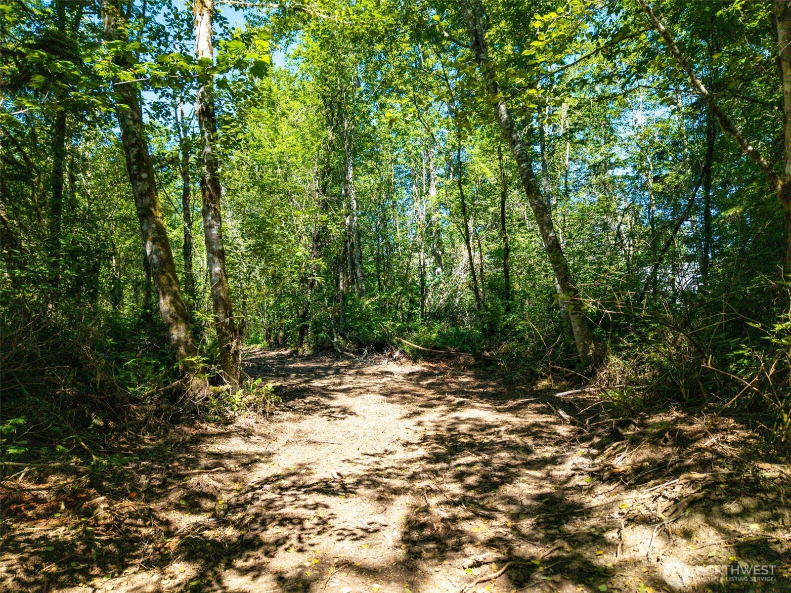 0 236th Avenue Property Photo 9