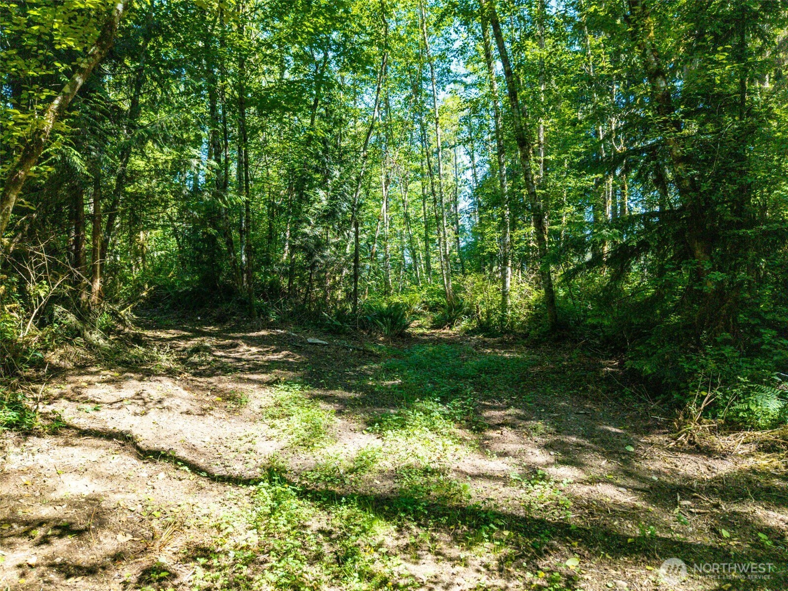 0 236th Avenue Property Photo 10