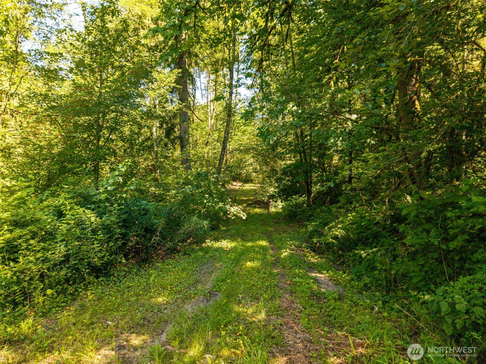 0 236th Avenue Property Photo 11