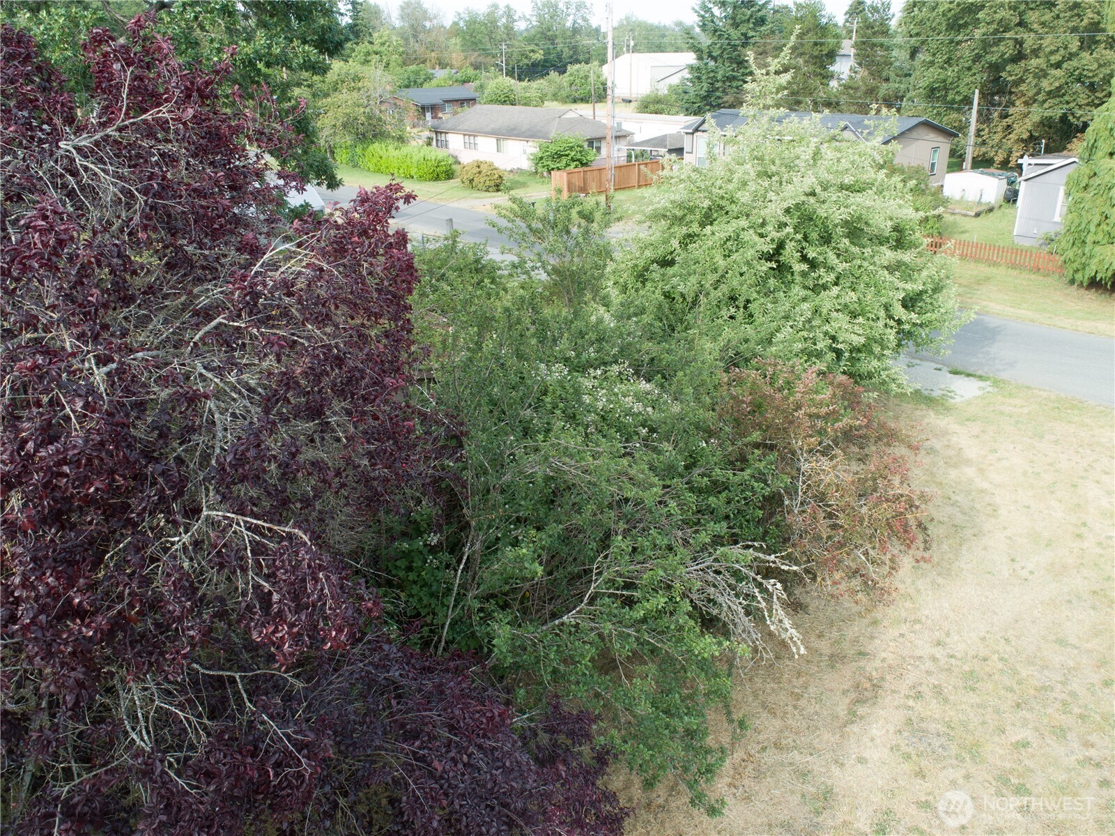 312 2nd Street Property Photo 6