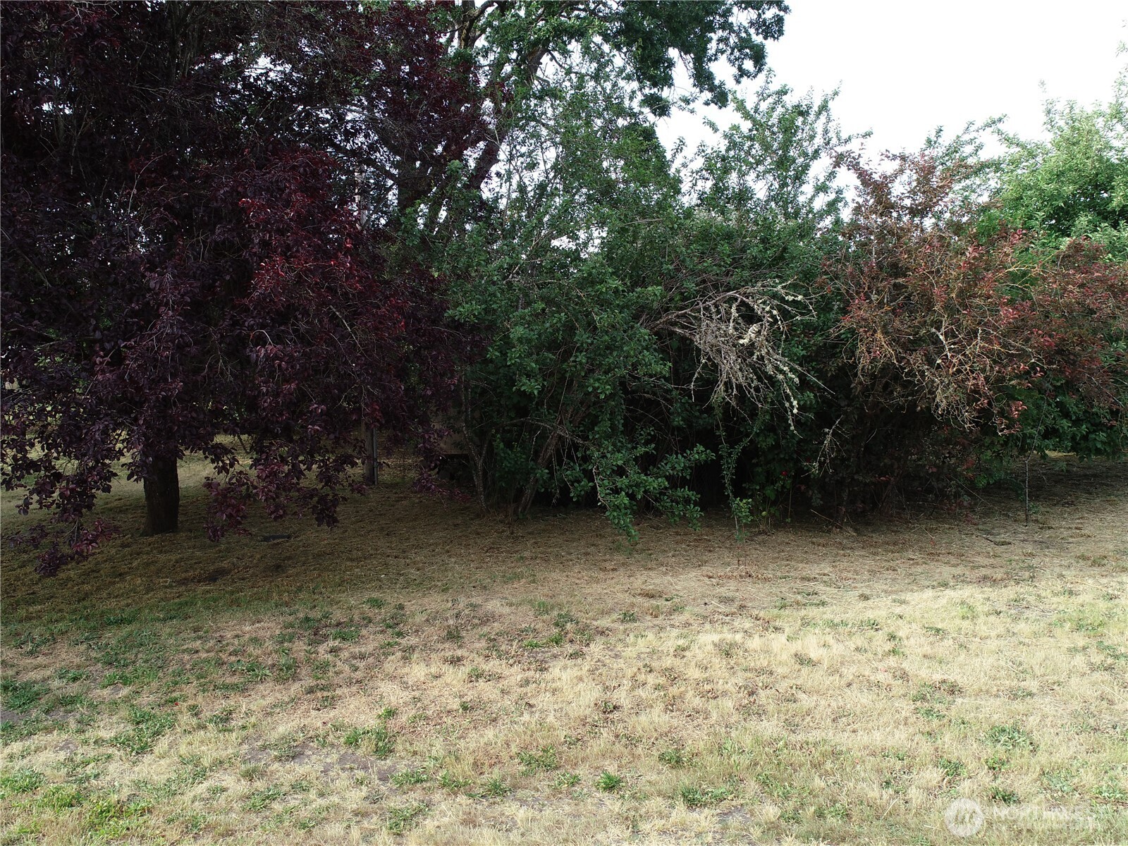 312 2nd Street Property Photo 8