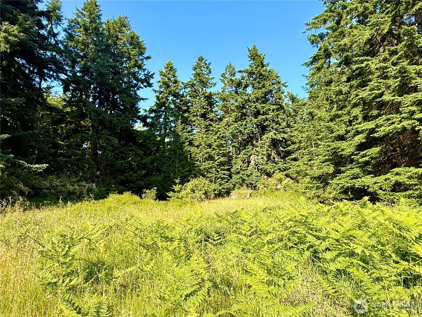 980 Ne Pennington Loop Property Photo 19