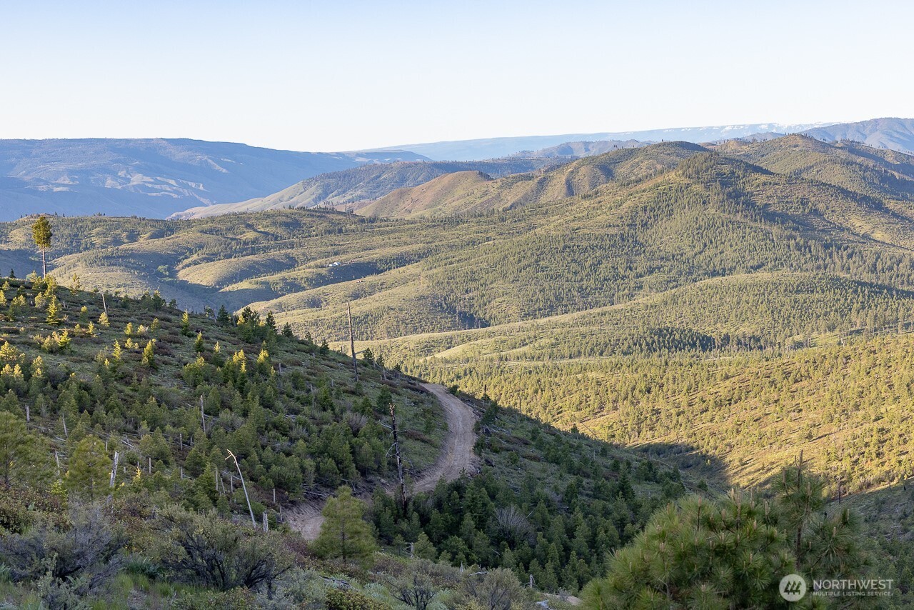 5 Usfs 5350 Property Photo 5