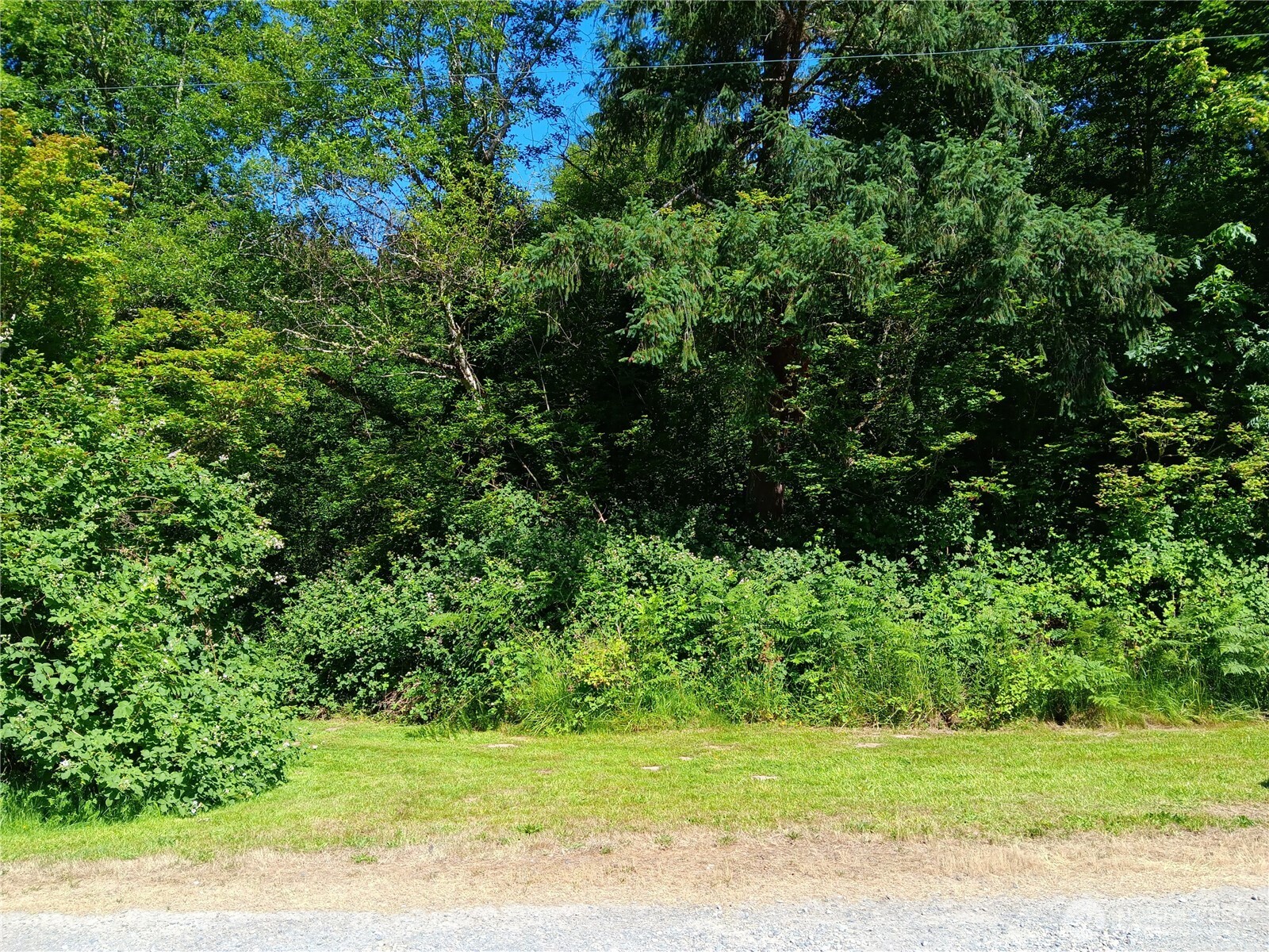 22606 Paul Bunyan Property Photo 1