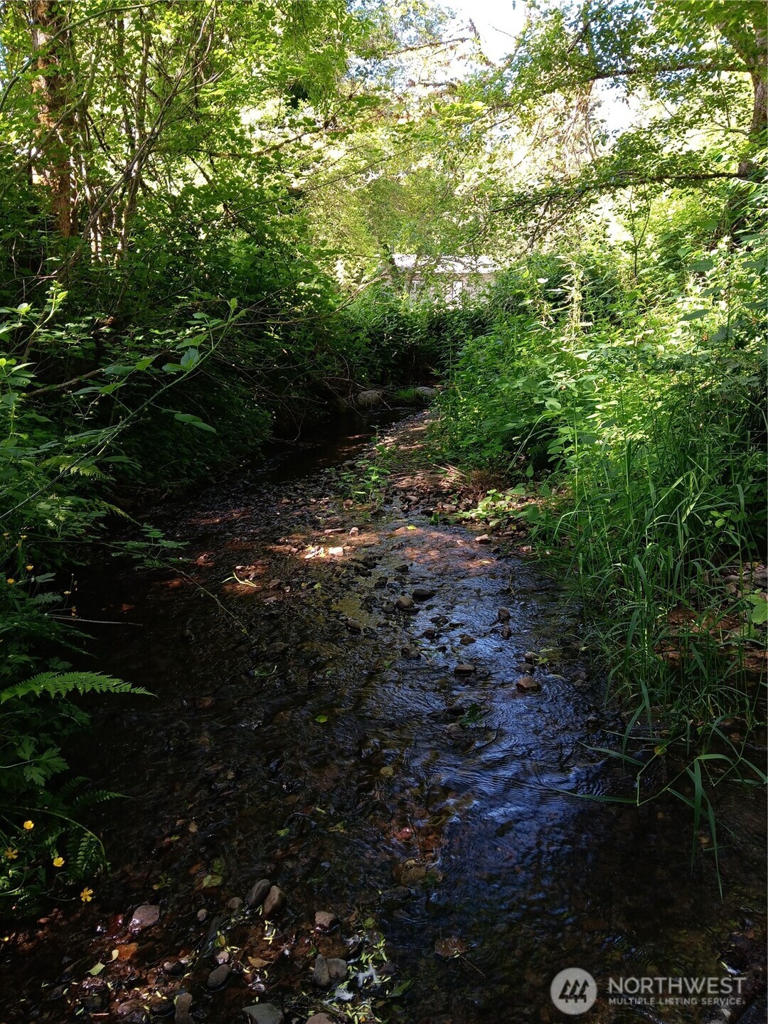 22606 Paul Bunyan Property Photo 3