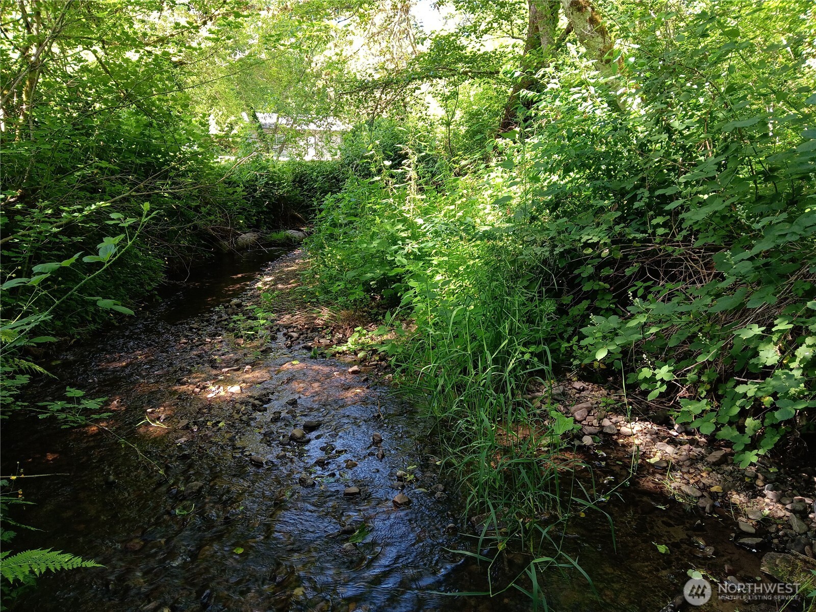 22606 Paul Bunyan Property Photo 4