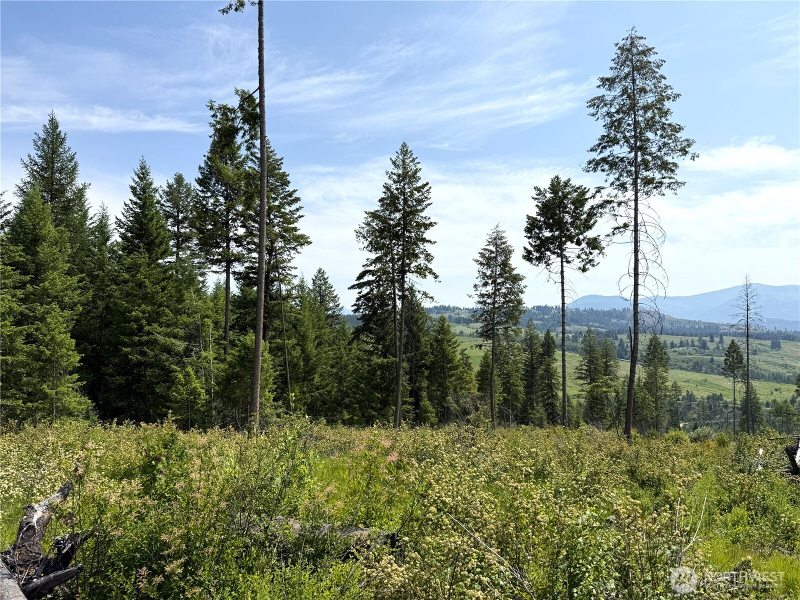 0 Rockabye Lane Property Photo 1
