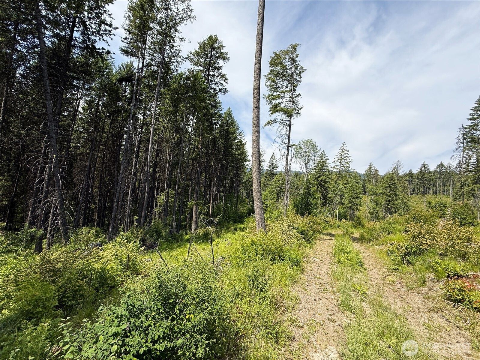 0 Rockabye Lane Property Photo 18