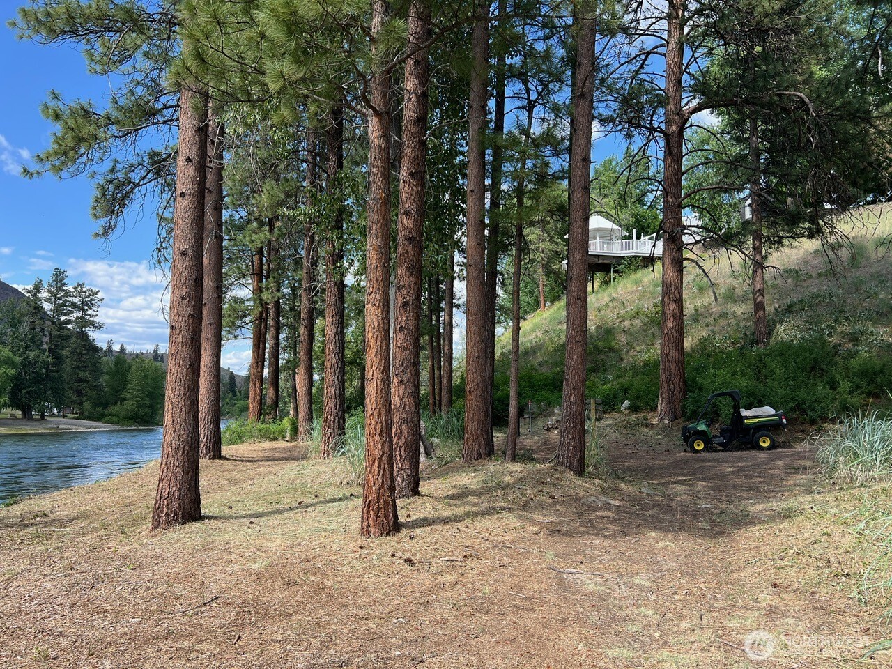 3 A Ross Road Property Photo 39