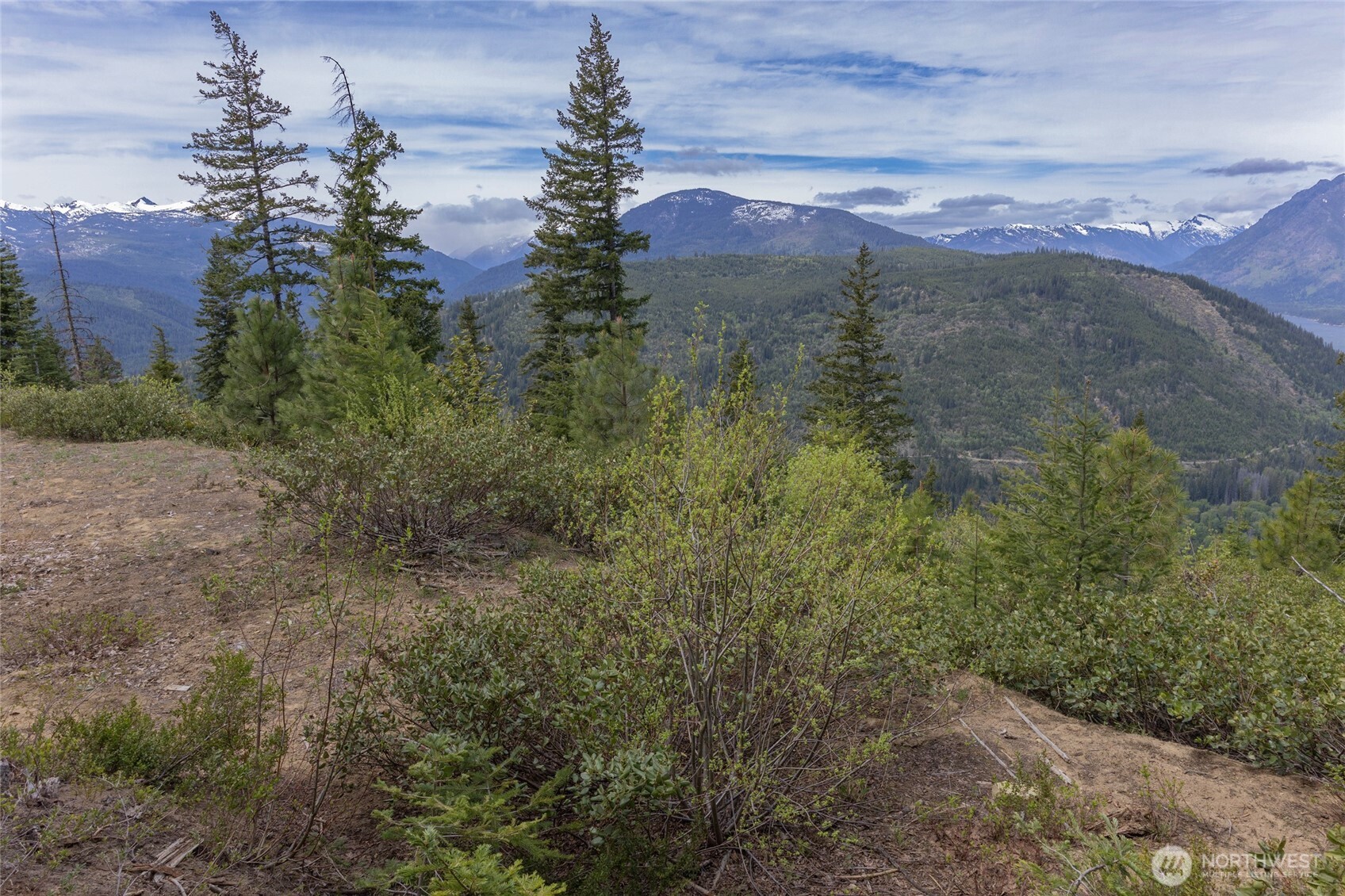 0 Forrest Service 6601-550 Rd Property Photo 2