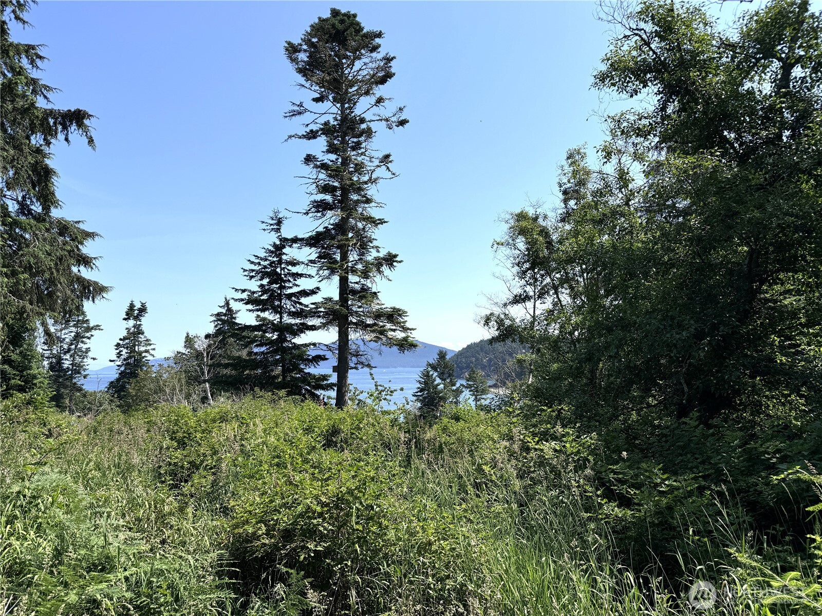 0 Davis Beach Road Property Photo 1