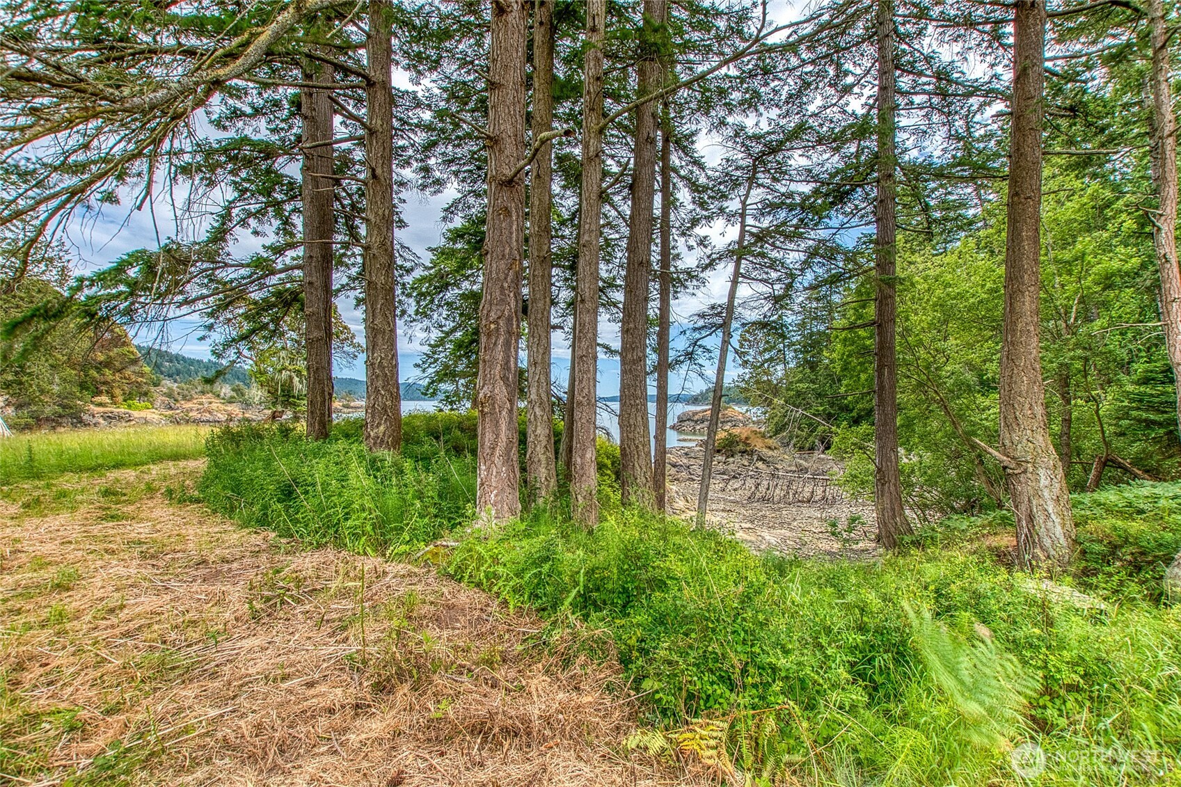 3388 Deer Harbor Road Property Photo 28