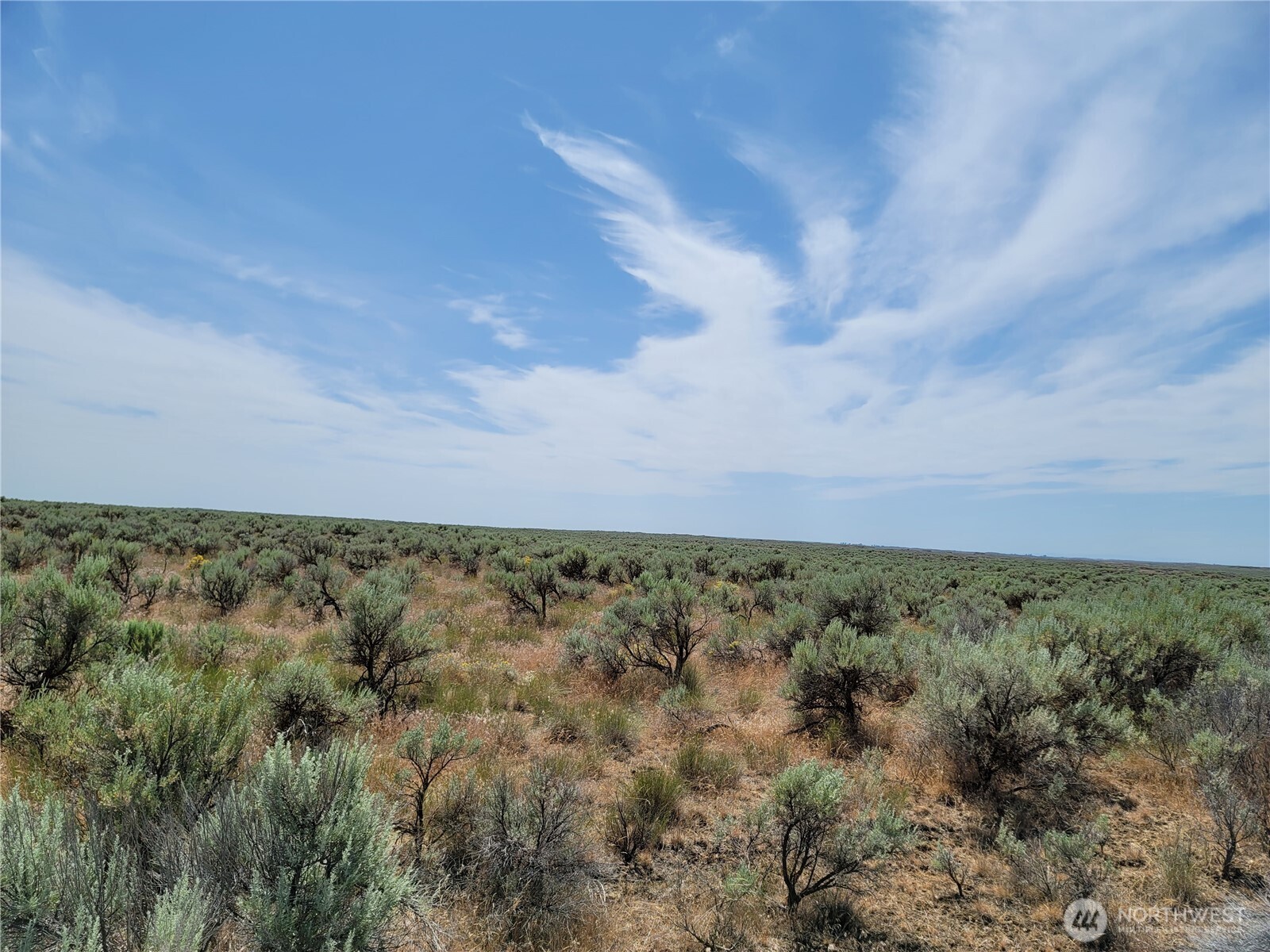 0 Lot 116 Eagle Springs Ranch Property Photo 3