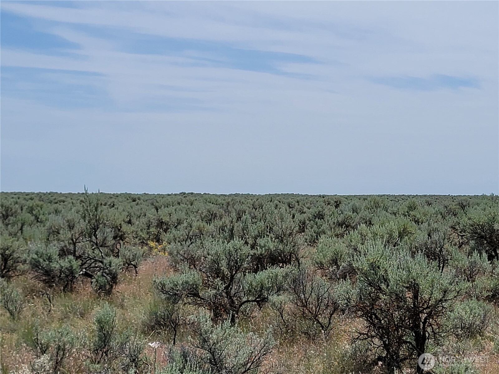 0 Lot 116 Eagle Springs Ranch Property Photo 4