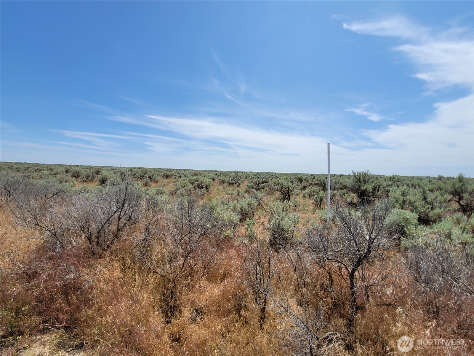 0 Lot 116 Eagle Springs Ranch Property Photo 5