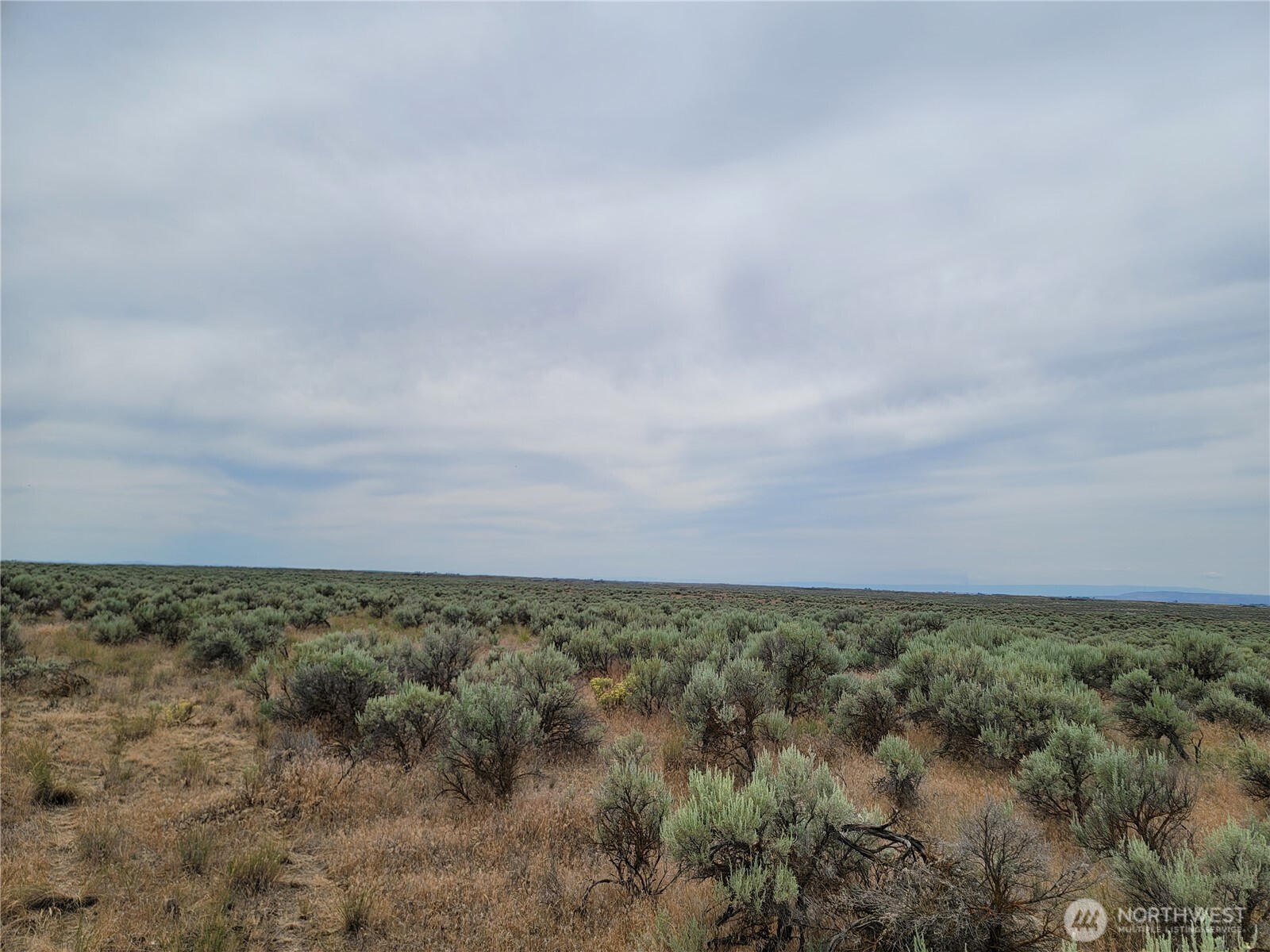 0 Lot 116 Eagle Springs Ranch Property Photo 7