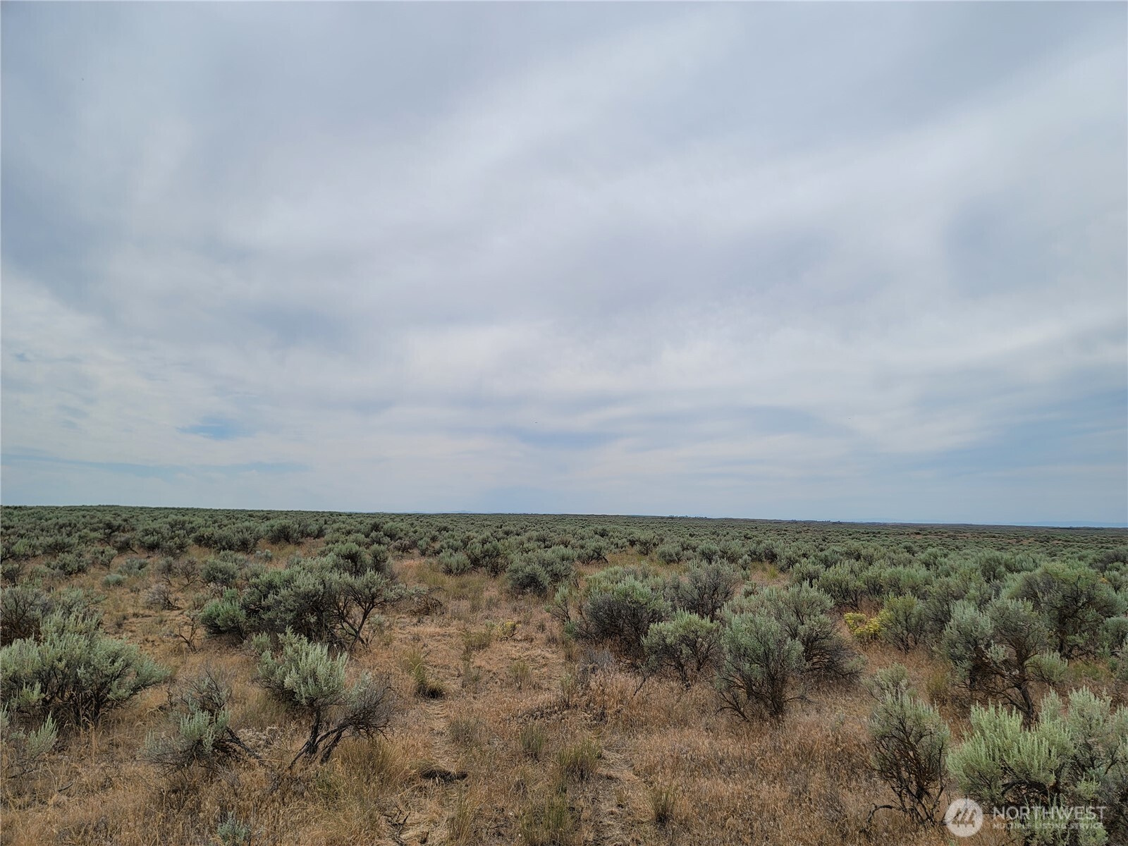 0 Lot 116 Eagle Springs Ranch Property Photo 8