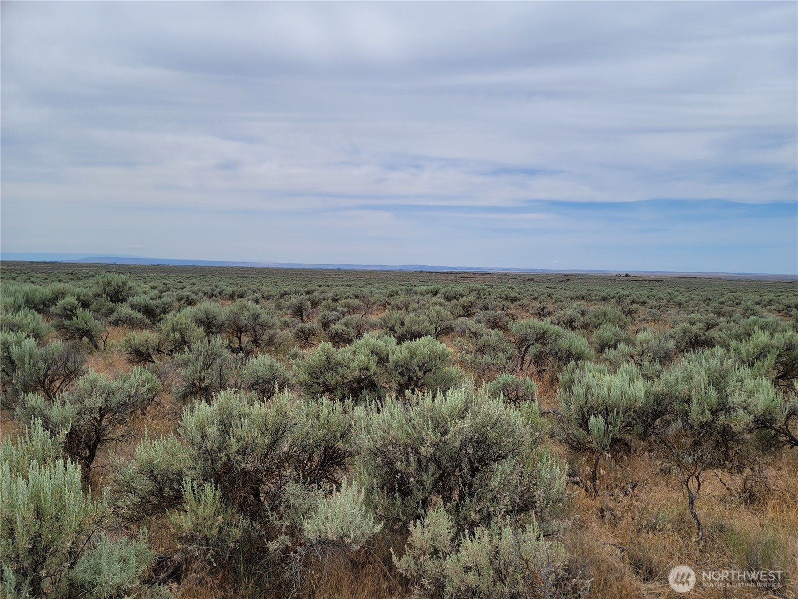 0 Lot 116 Eagle Springs Ranch Property Photo 10
