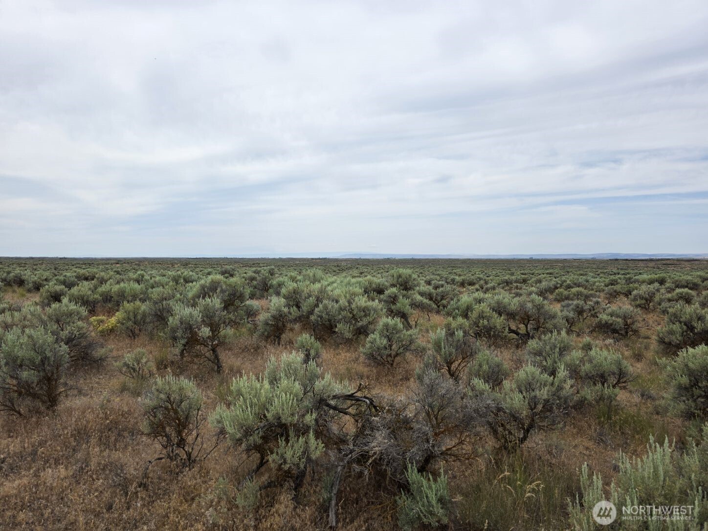 0 Lot 116 Eagle Springs Ranch Property Photo 11