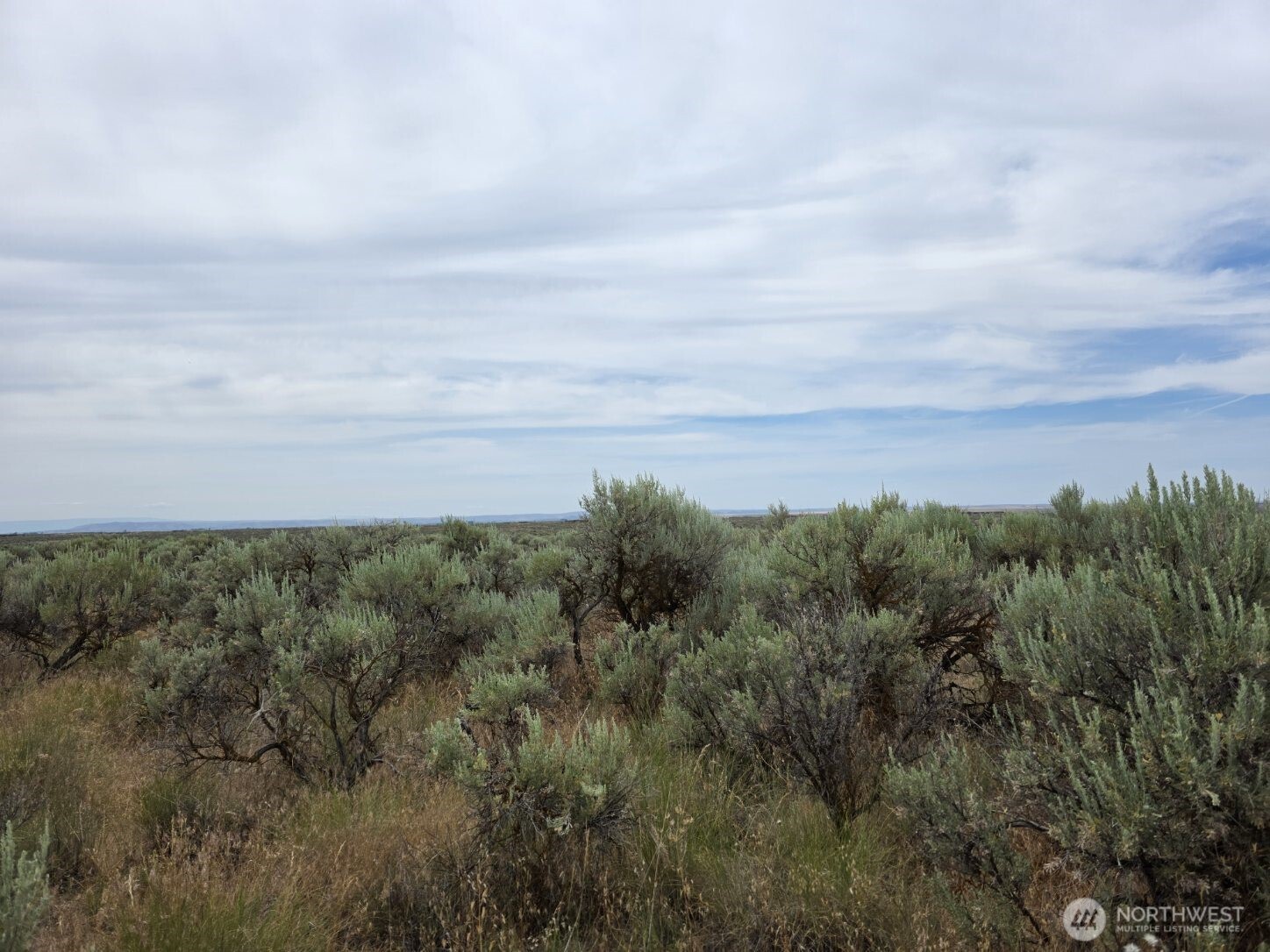 0 Lot 116 Eagle Springs Ranch Property Photo 12