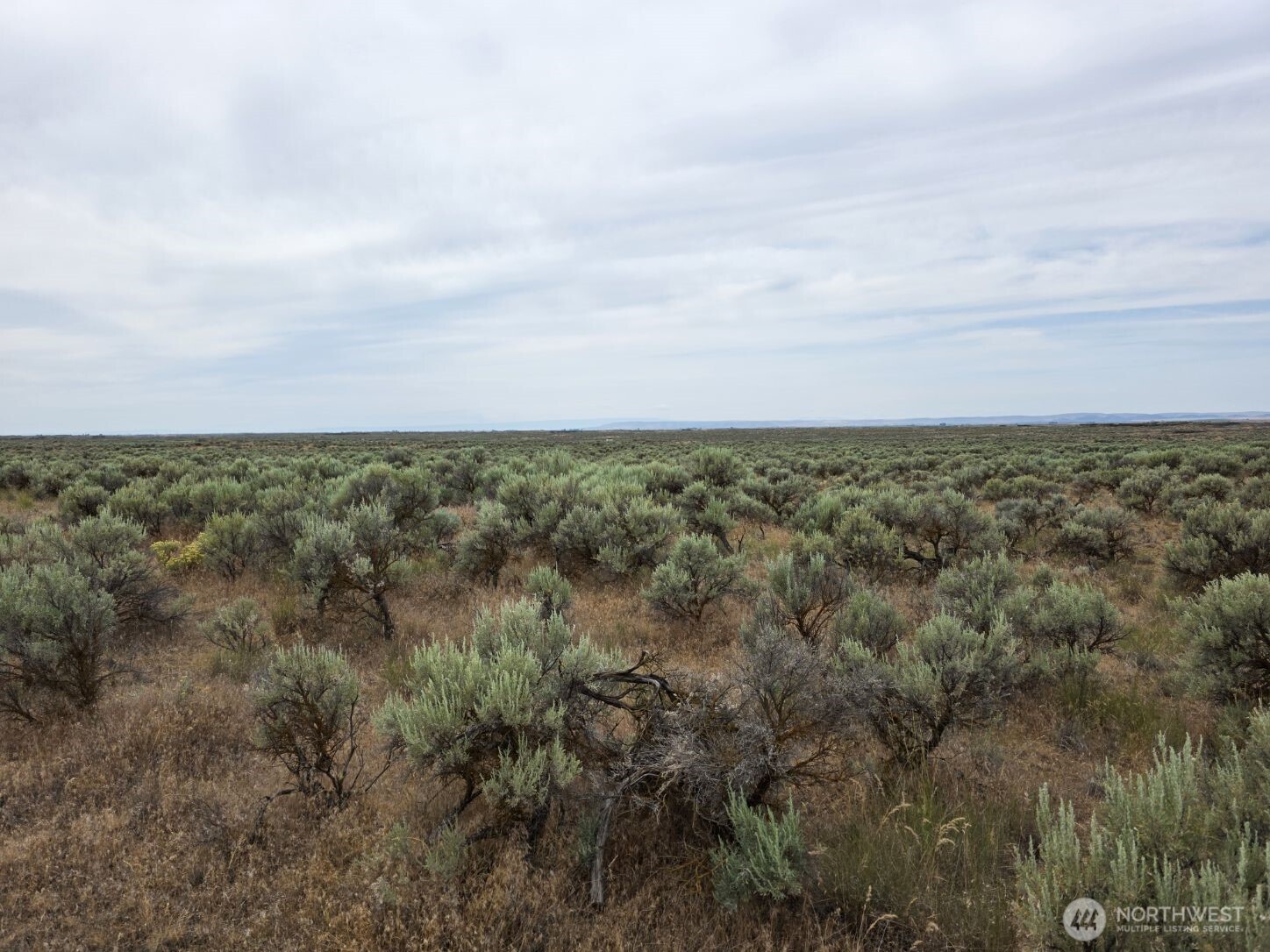 0 Lot 116 Eagle Springs Ranch Property Photo 13