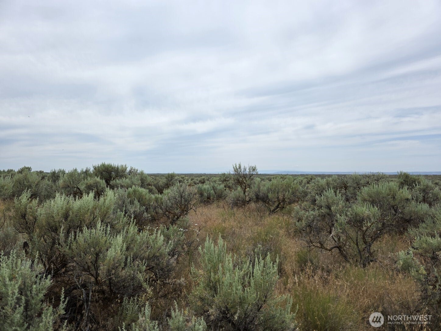 0 Lot 116 Eagle Springs Ranch Property Photo 14