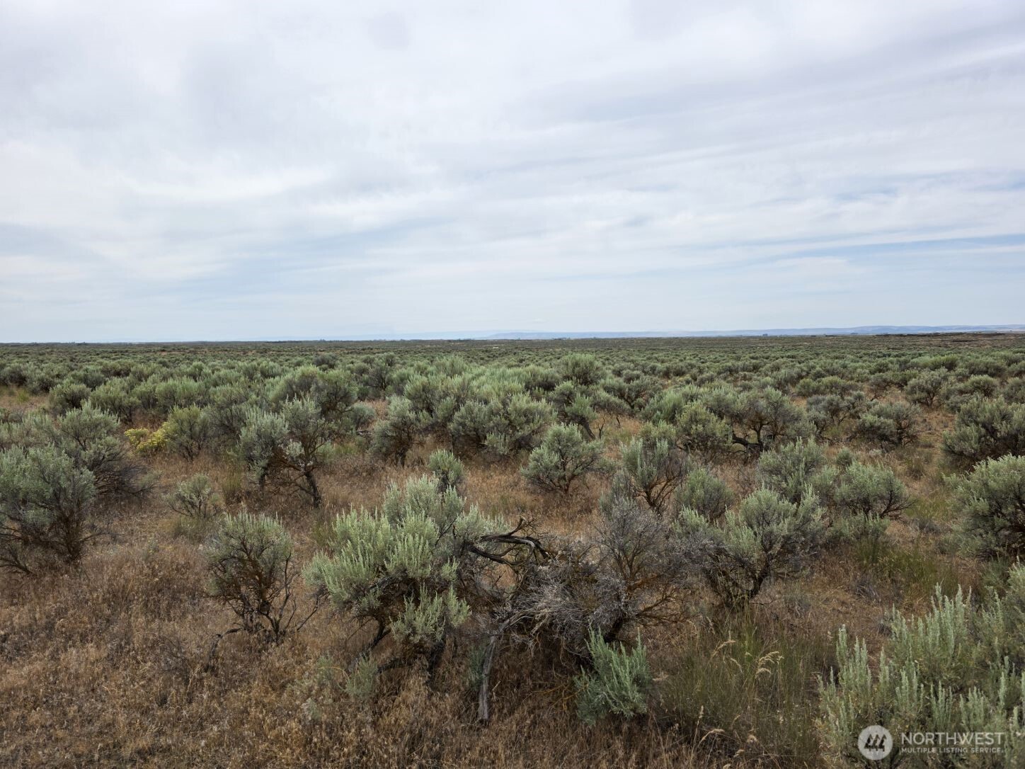 0 Lot 116 Eagle Springs Ranch Property Photo 17