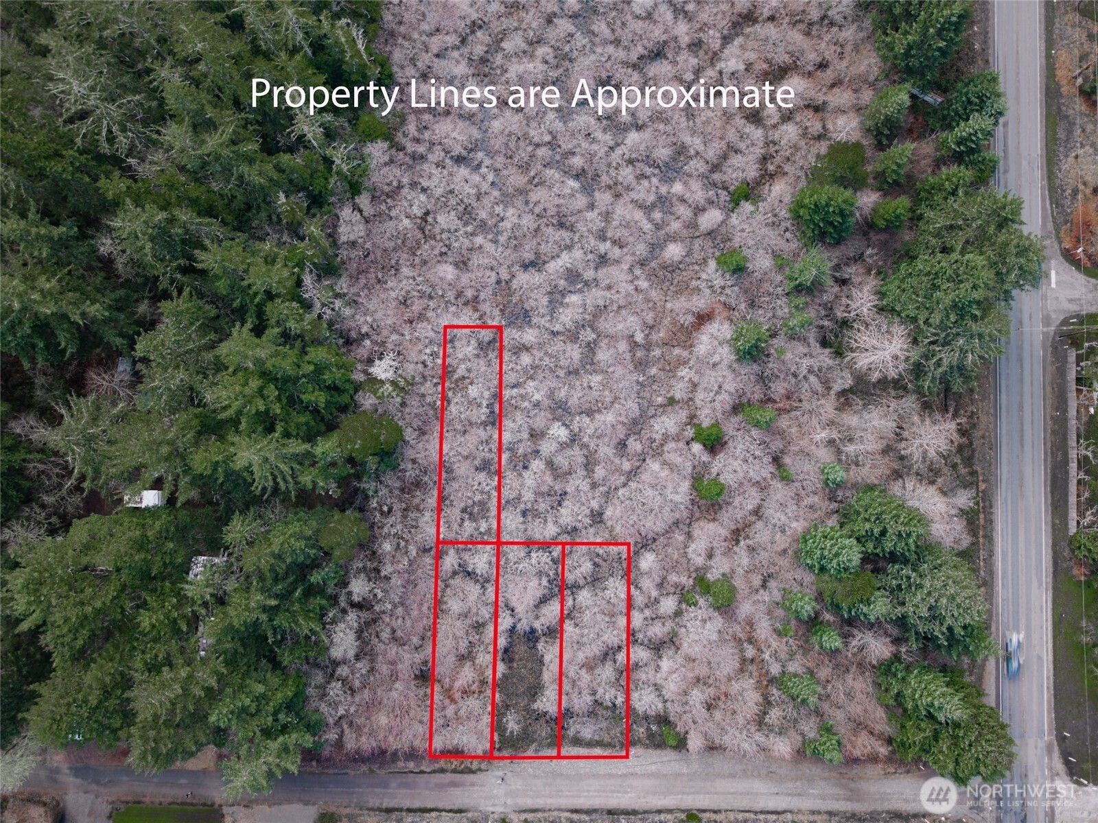 1610 147th Place Property Photo 6