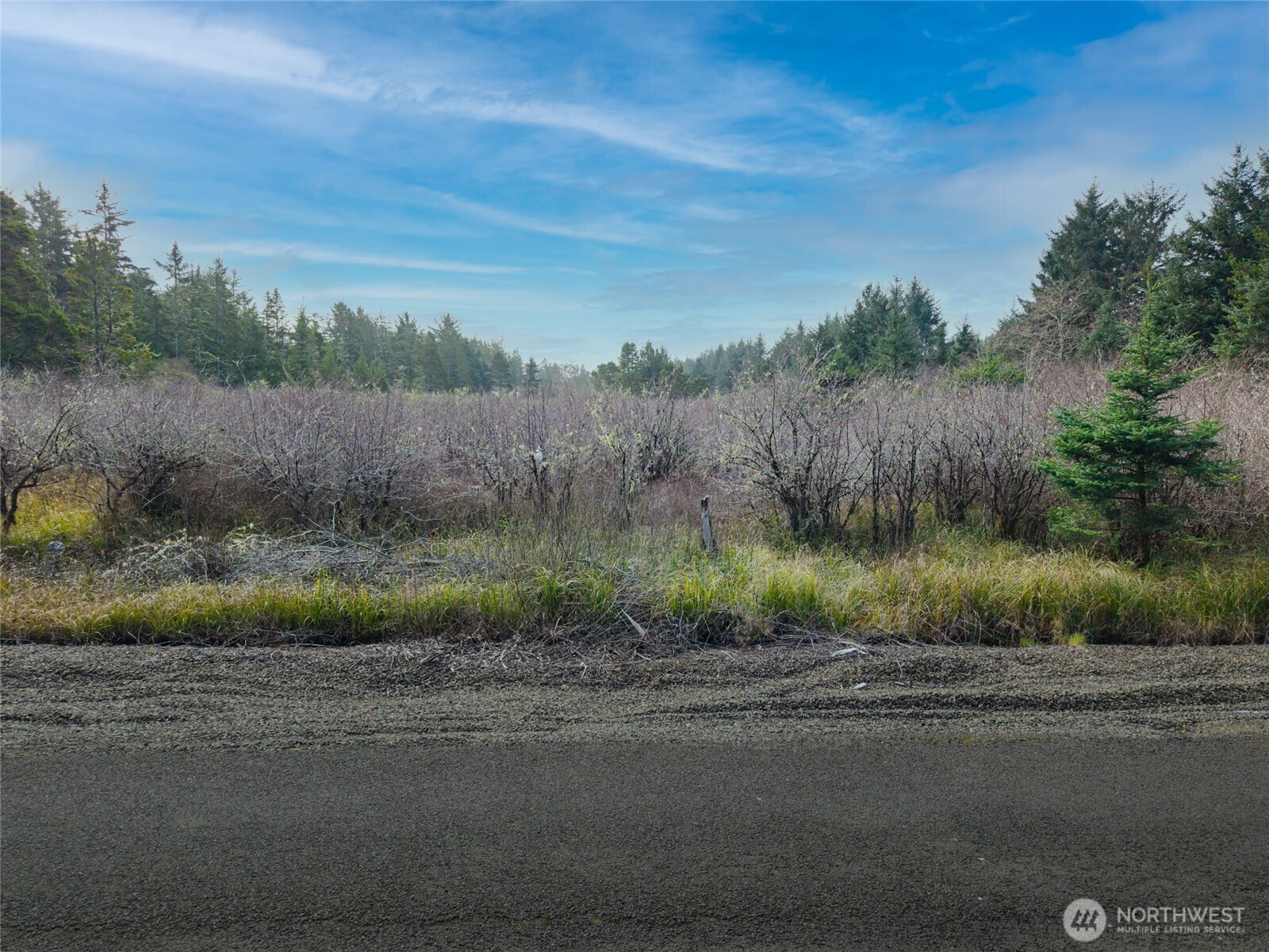 1610 147th Place Property Photo 8