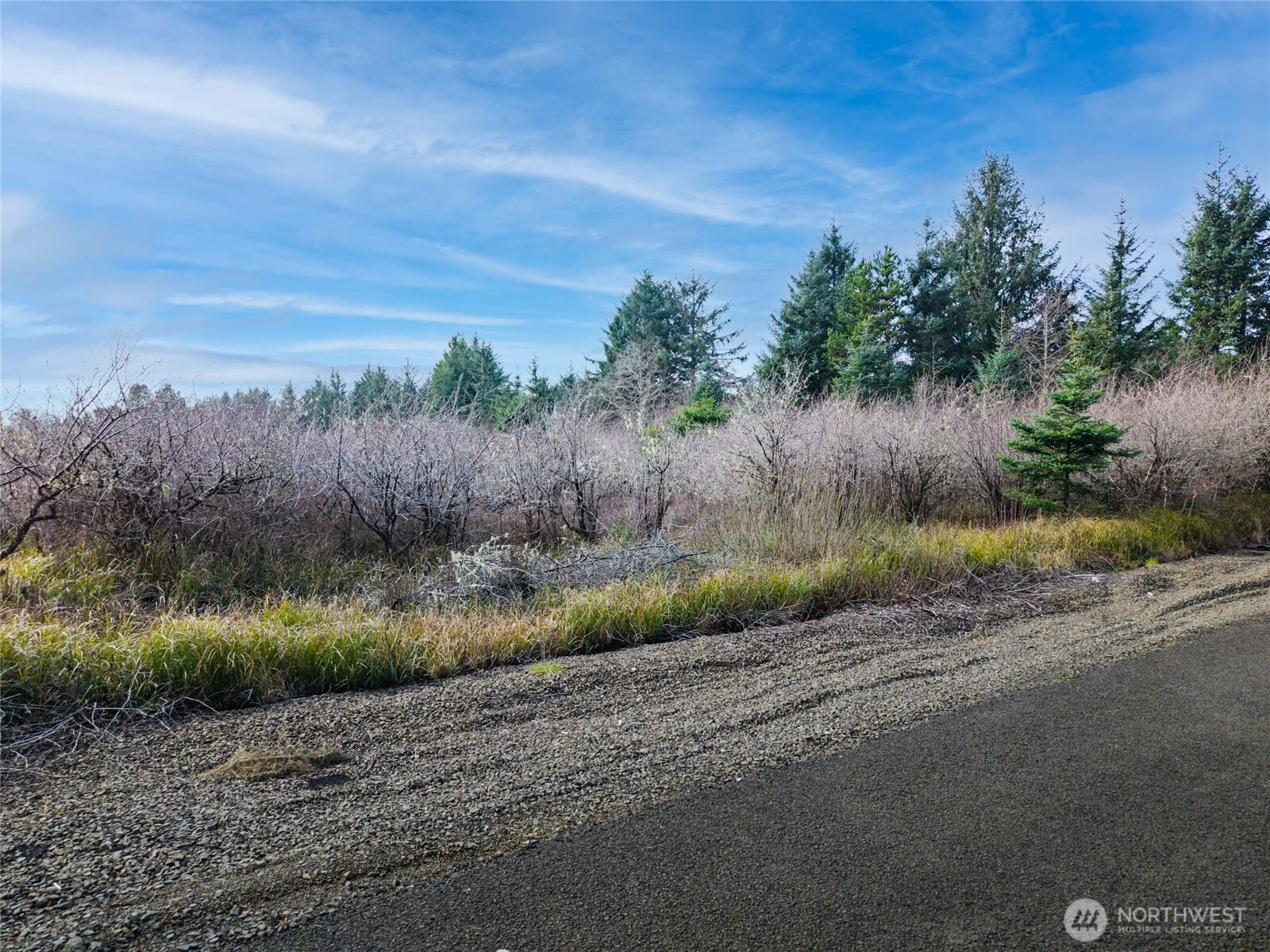 1610 147th Place Property Photo 10