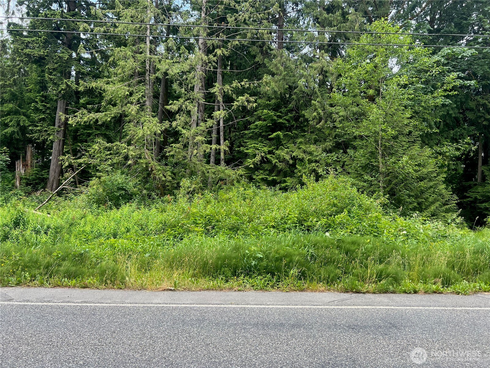 0 Cain Lake Road Property Photo 1
