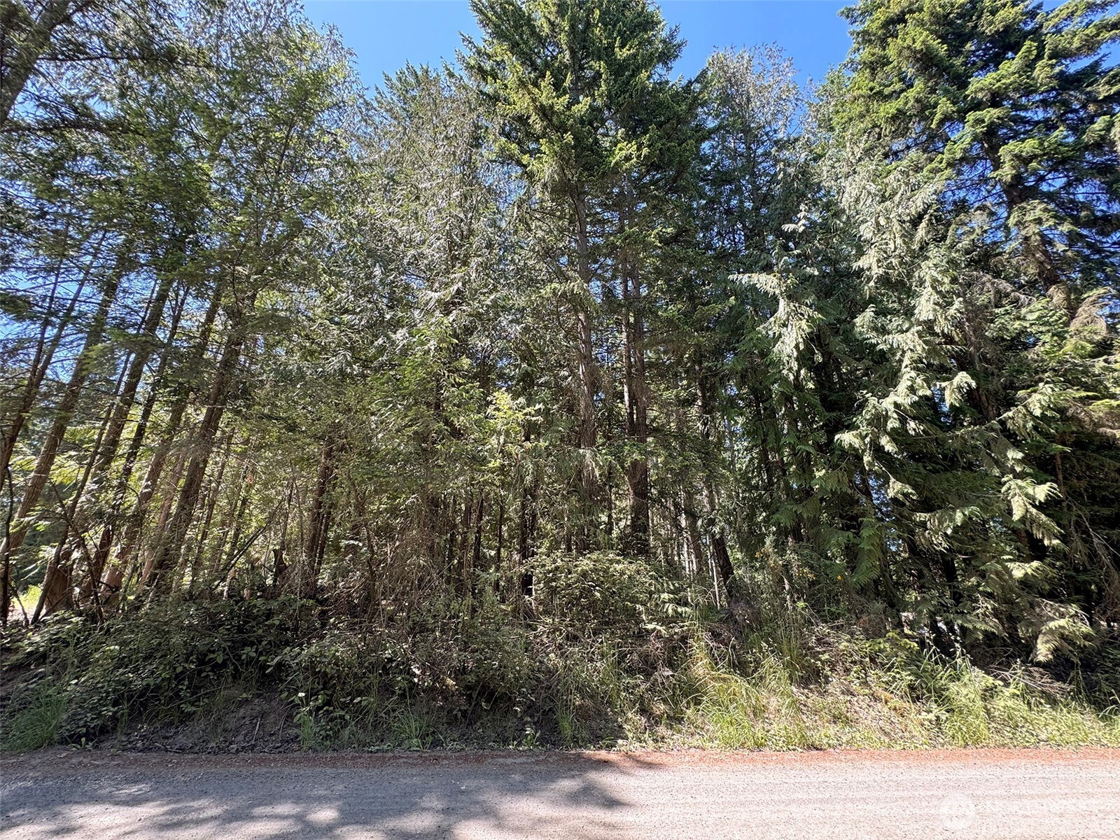 999 N Bagley Creek Road Property Photo 3