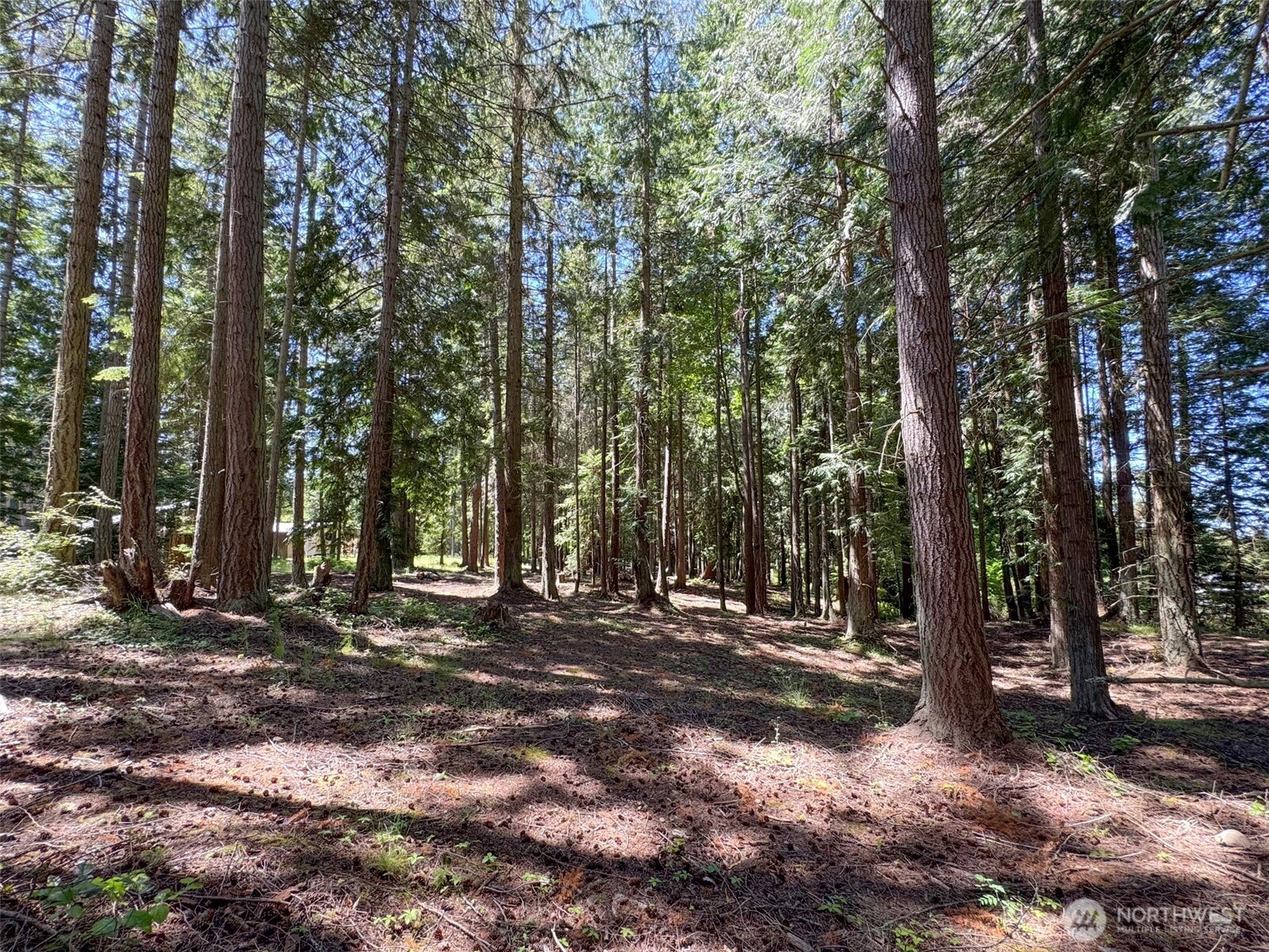 999 N Bagley Creek Road Property Photo 5