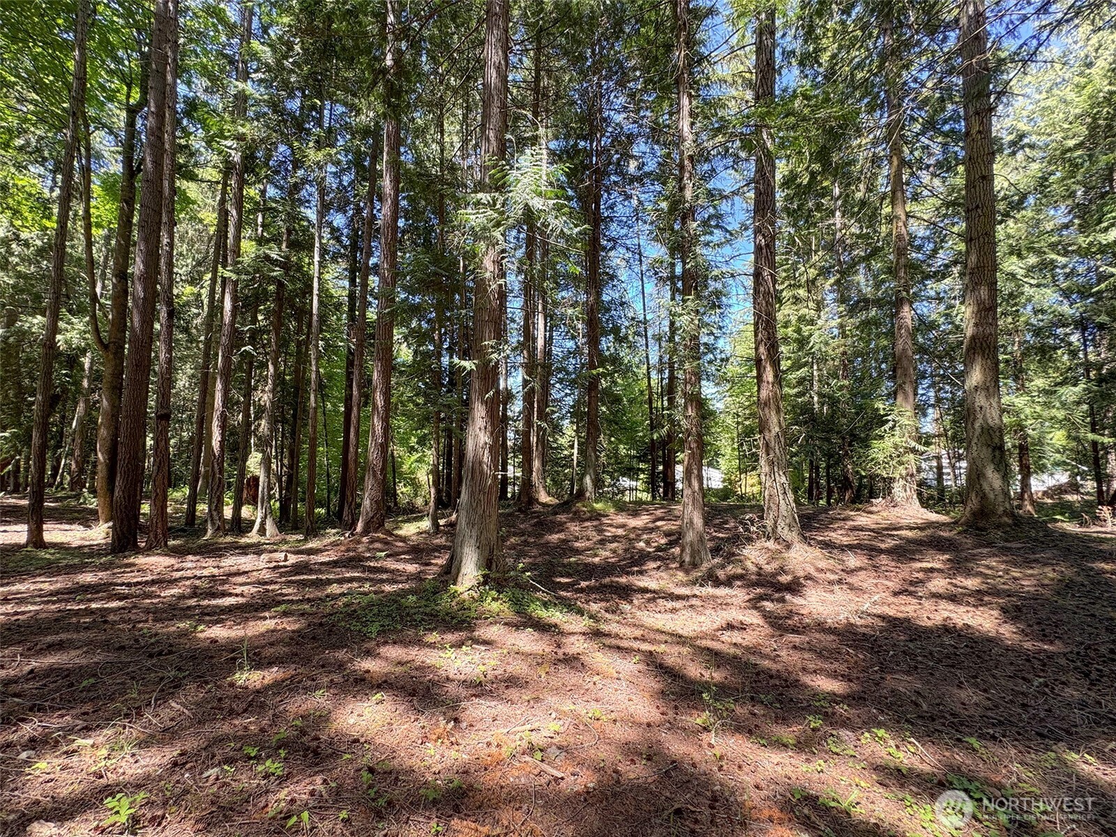 999 N Bagley Creek Road Property Photo 6