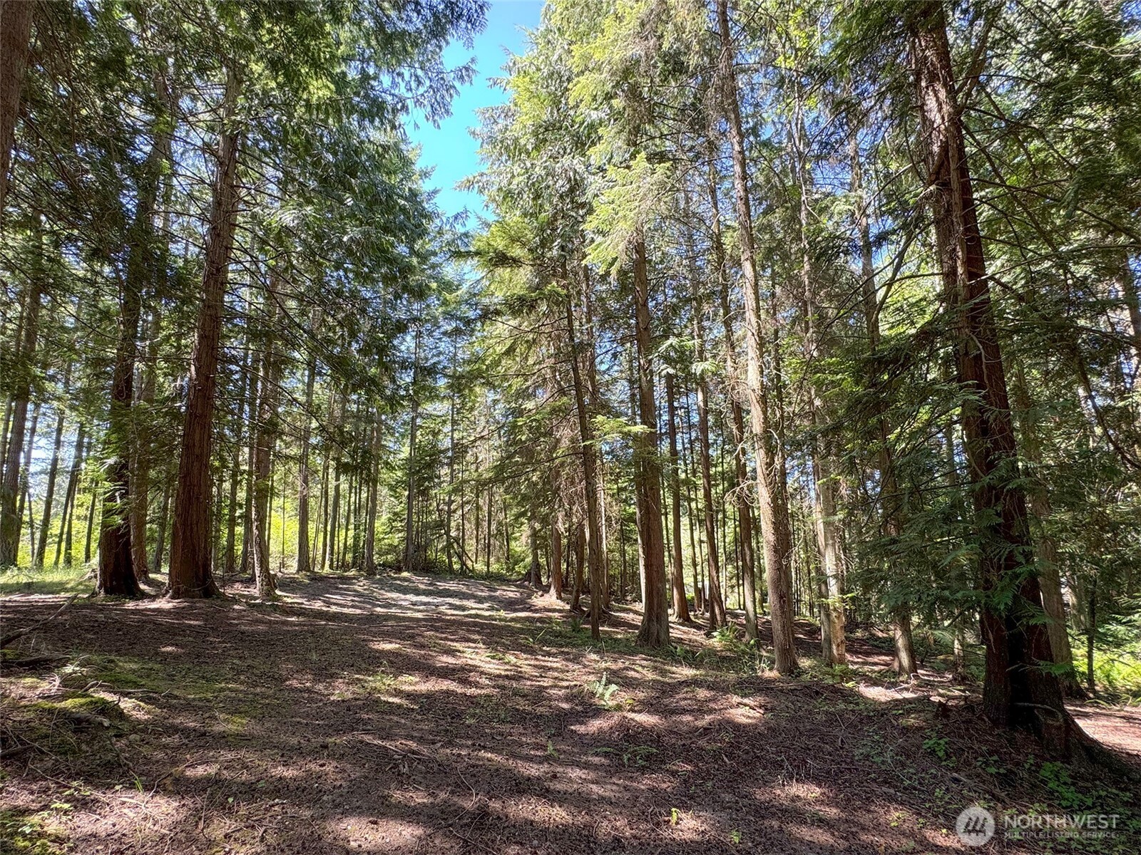 999 N Bagley Creek Road Property Photo 7